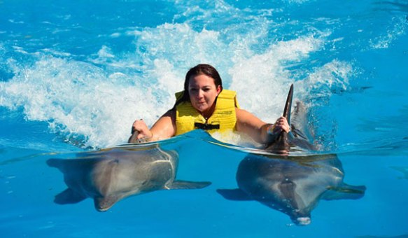 swim with dolphins Bali